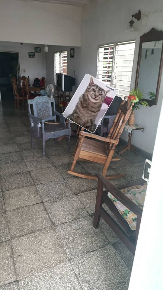 Casa 6