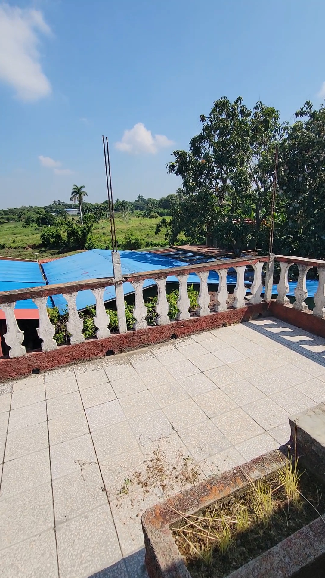 CASA 3