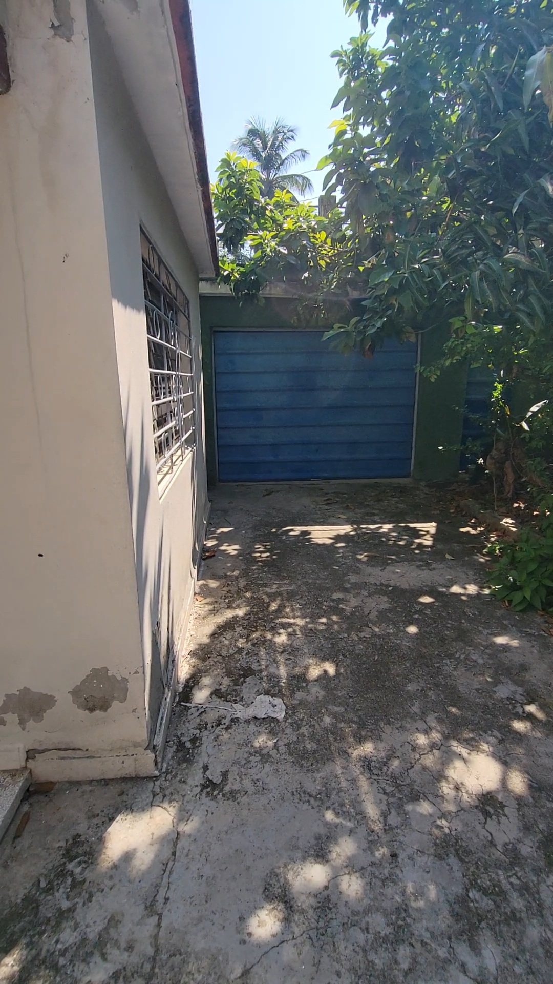 CASA 3